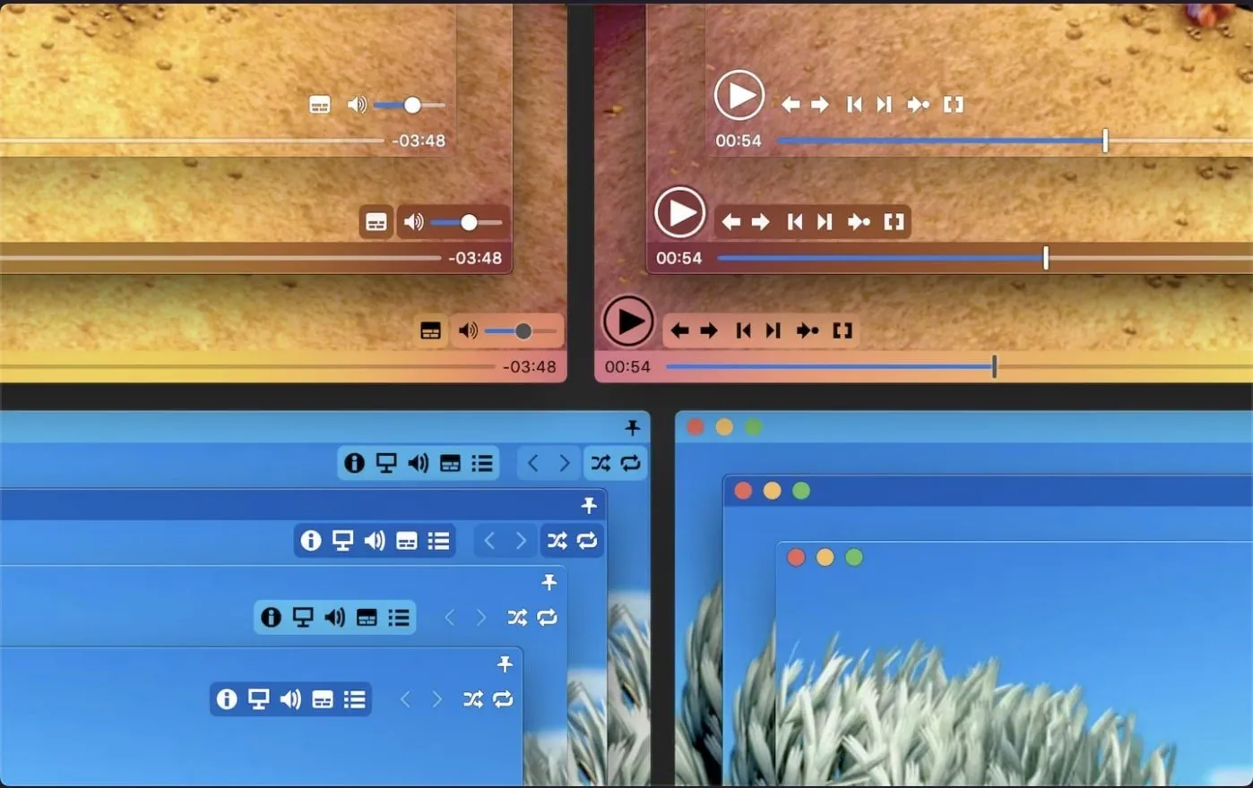 App Screenshot 1