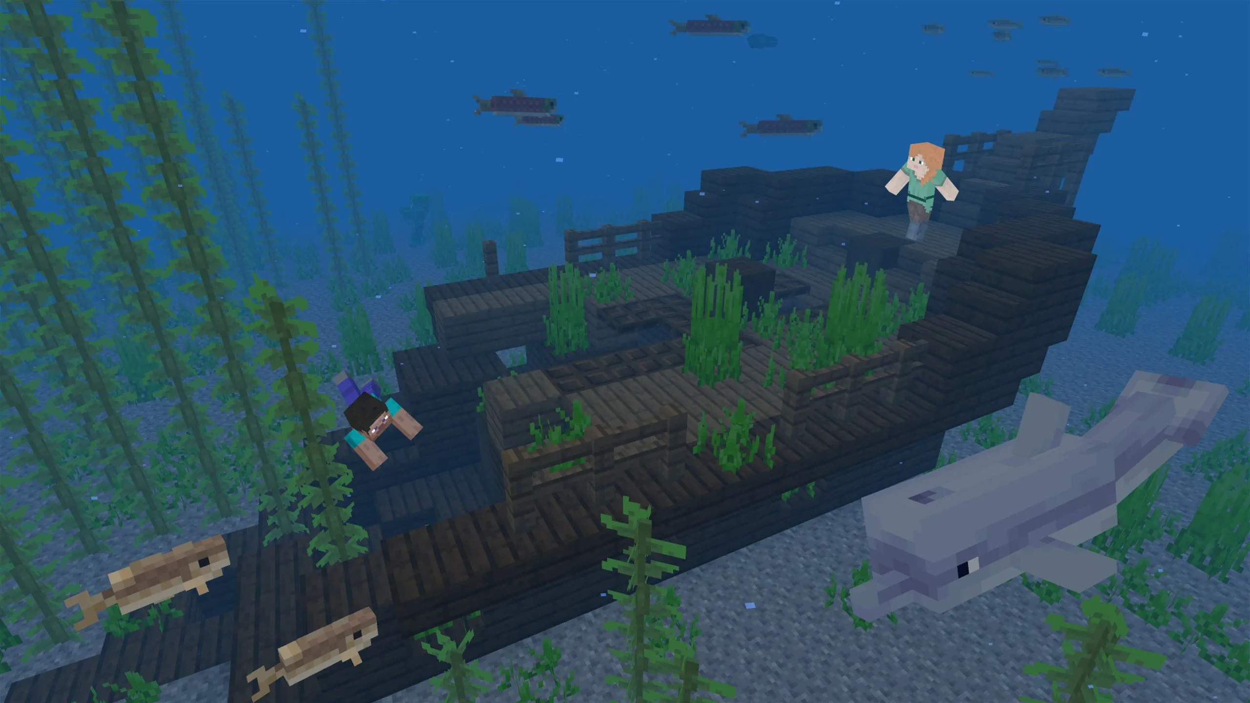 App Screenshot 3