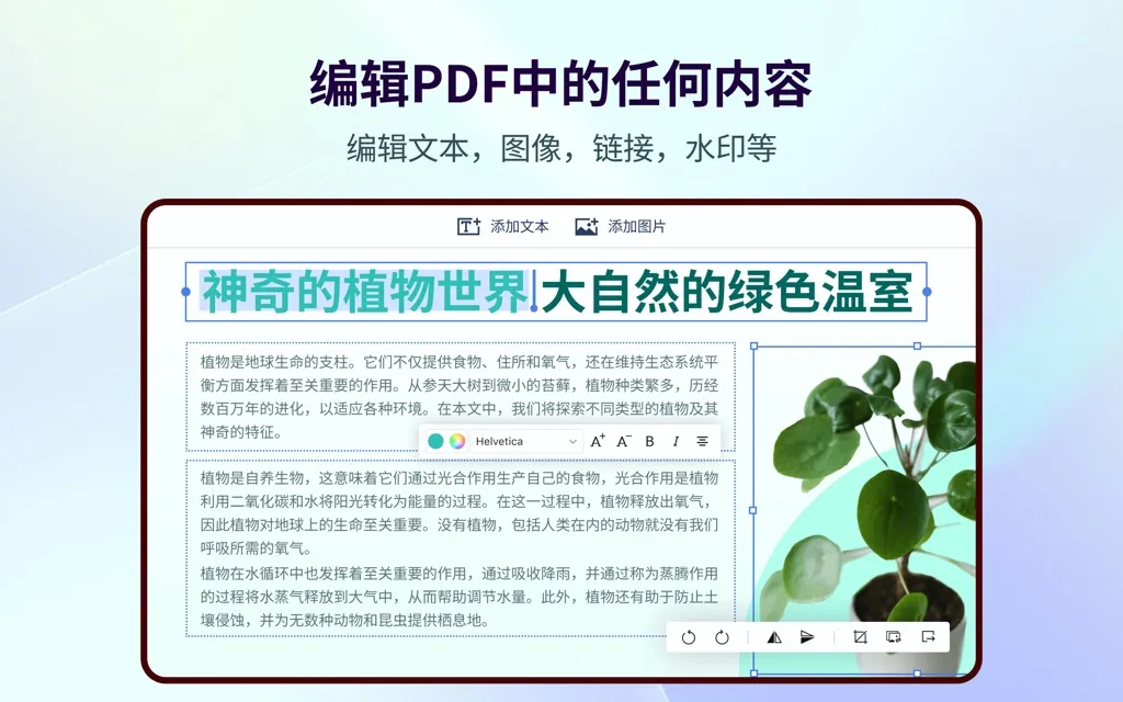 App Screenshot 4