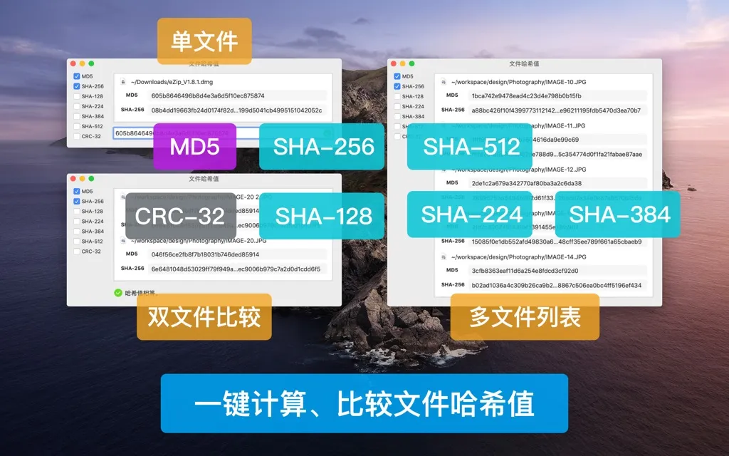 App Screenshot 6